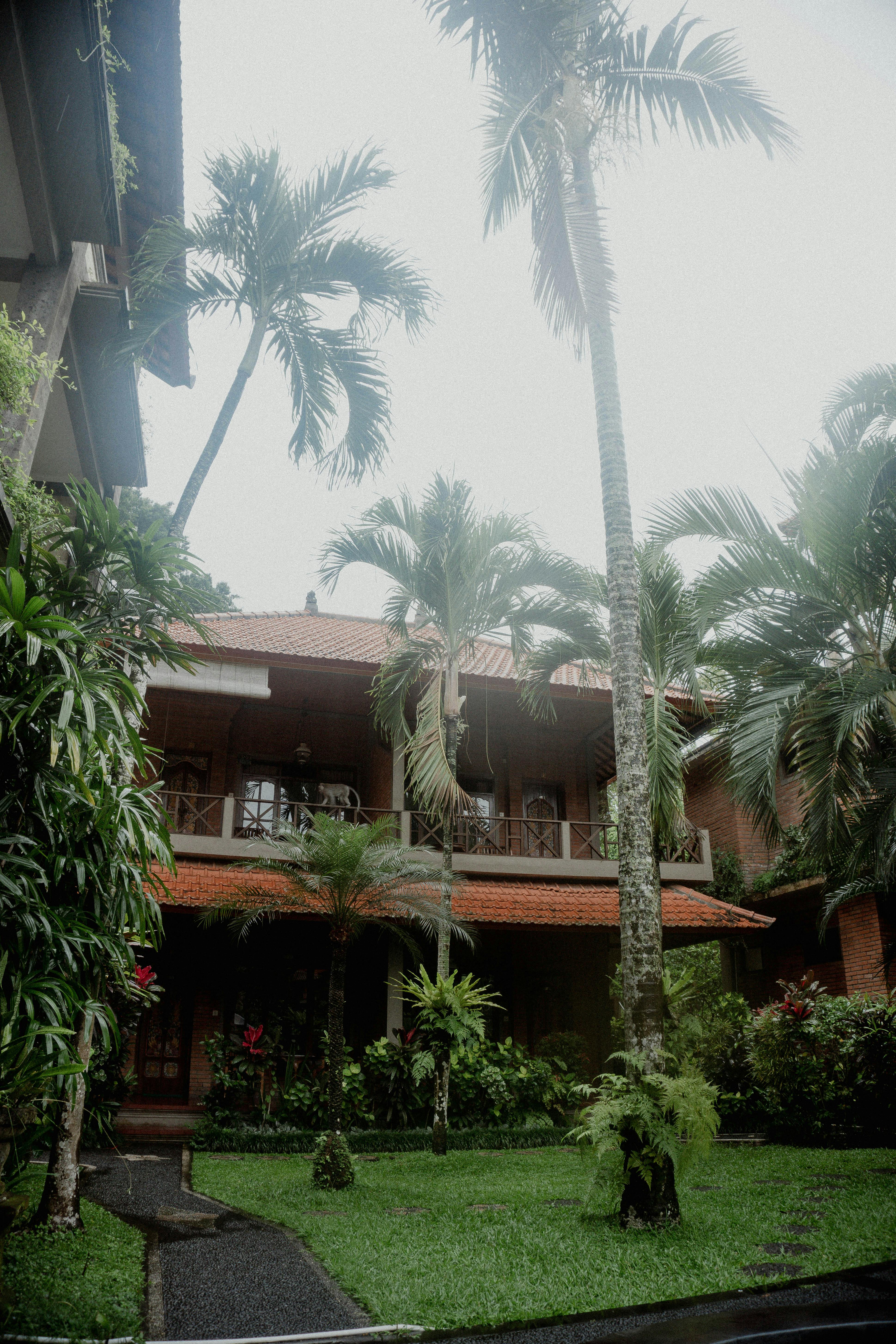 Entire Bungalow